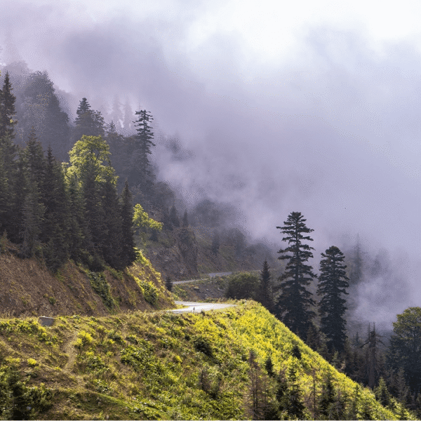 Iceland in Silence: Minimal Landscapes and Moody Skies