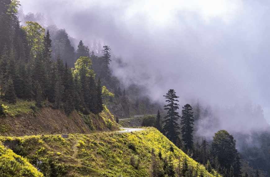 Chasing Fog – A Morning&hellip;